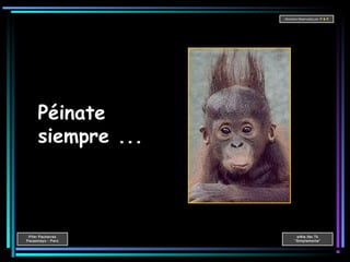 Pifer Pacherres
Pacasmayo - Perú
wWw.ifer.Tk
“Simplemente”
Derechos Reservados por P & P
Péinate
siempre ...
 