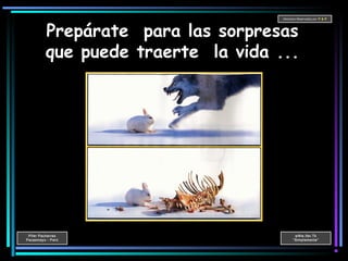 Pifer Pacherres
Pacasmayo - Perú
wWw.ifer.Tk
“Simplemente”
Derechos Reservados por P & P
Prepárate para las sorpresas
que puede traerte la vida ...
 
