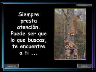Pifer Pacherres
Pacasmayo - Perú
wWw.ifer.Tk
“Simplemente”
Derechos Reservados por P & P
Siempre
presta
atención.
Puede ser que
lo que buscas,
te encuentre
a ti ...
 