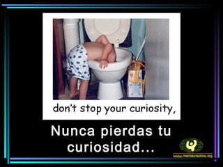 Nunca pierdas tu
  curiosidad...
 