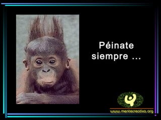 Péinate
siempre ...
 