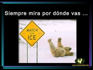 Siempre mira por dónde vas ...
 