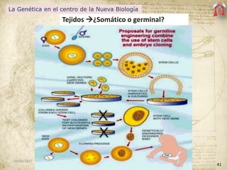 Tejidos ¿Somático o germinal?
41
04/03/2017
La Genética en el centro de la Nueva Biología
 