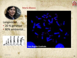 50
04/03/2017
María Blasco
Longevidad…
• 20 % genético
• 80% ambiental…
Foto Ángeles Cuadrado
 