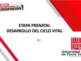 ETAPA PRENATAL
DESARROLLO DEL CICLO VITAL
 