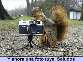 Y ahora una foto tuya. Saludos
 