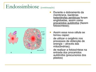 Endossimbiose  (continuação) Durante o dobramento da membrana, bactérias  heterótrofas aeróbicas  foram englobadas, assim como  procariotos autótrofos  (fazem fotossíntese); Assim essa nova célula se tornou capaz: de utilizar o oxigênio nos processos de obtenção de energia – através das mitocôndrias); de realizar a fotossíntese na entrada dos procariotos autótrofos (precursores dos plastos) 