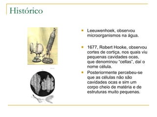 Histórico Leeuwenhoek, observou microorganismos na água. 1677, Robert Hooke, observou cortes de cortiça, nos quais viu pequenas cavidades ocas, que denominou “cellas”, daí o nome célula. Posteriormente percebeu-se que as células não são cavidades ocas e sim um corpo cheio de matéria e de estruturas muito pequenas. 