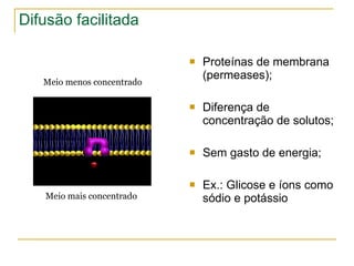 Difusão facilitada Proteínas de membrana (permeases); Diferença de concentração de solutos; Sem gasto de energia; Ex.: Glicose e íons como sódio e potássio Meio menos concentrado Meio mais concentrado 