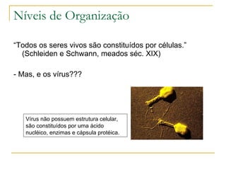 Níveis de Organização “ Todos os seres vivos são constituídos por células.” (Schleiden e Schwann, meados séc. XIX) - Mas, e os vírus??? Vírus não possuem estrutura celular, são constituídos por uma ácido nucléico, enzimas e cápsula protéica.  