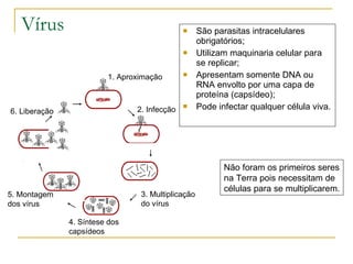 Vírus São parasitas intracelulares obrigatórios; Utilizam maquinaria celular para se replicar; Apresentam somente DNA ou RNA envolto por uma capa de proteína (capsídeo); Pode infectar qualquer célula viva. 1. Aproximação 2. Infecção 3. Multiplicação do vírus 4. Síntese dos capsídeos 5. Montagem dos vírus 6. Liberação Não foram os primeiros seres na Terra pois necessitam de células para se multiplicarem. 