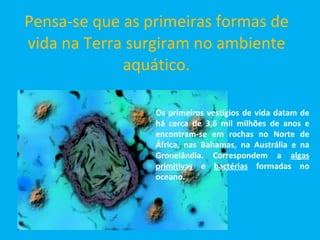 Pensa-se que as primeiras formas de vida na Terra surgiram no ambiente aquático. Os primeiros vestígios de vida datam de há cerca de 3,6 mil milhões de anos e encontram-se em rochas no Norte de África, nas Bahamas, na Austrália e na Gronelândia. Correspondem a  algas primitivas  e  bactérias  formadas no oceano.  
