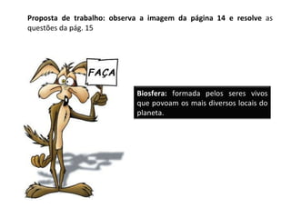 Proposta de trabalho: observa a imagem da página 14 e resolve  as questões da pág. 15 Biosfera:  formada pelos seres vivos que povoam os mais diversos locais do planeta. 