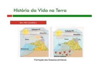 História da Vida na Terra
Formação dos Oceanos primitivos
ERA PRÉ-CÂMBRICA
 