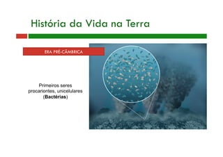 História da Vida na Terra
ERA PRÉ-CÂMBRICA
Primeiros seres
procariontes, unicelulares
(Bactérias)
 