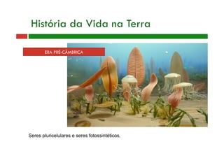 ERA PRÉ-CÂMBRICA
História da Vida na Terra
Seres pluricelulares e seres fotossintéticos.
 