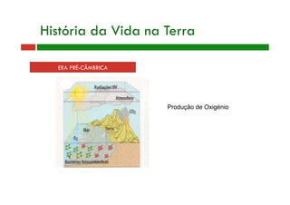 História da Vida na Terra
ERA PRÉ-CÂMBRICA
Produção de Oxigénio
 
