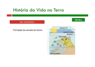 ERA PALEOZÓICA
Formação da camada de Ozono
550 M.a.
História da Vida na Terra
 