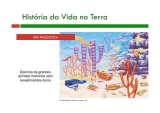 ERA PALEOZÓICA
História da Vida na Terra
Domínio de grandes
animais marinhos com
revestimentos duros
 