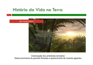 ERA PALEOZÓICA
História da Vida na Terra
Colonização dos ambientes terrestres
Desenvolvimento de grandes florestas e aparecimento de insectos gigantes
 