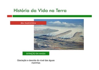 História da Vida na Terra
EXTINÇÃO EM MASSA
Glaciação e descida do nível das águas
marinhas
ERA PALEOZÓICA
 