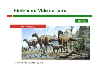 ERA MESOZÓICA
Domínio dos grandes Répteis
História da Vida na Terra
250 M.a.
 