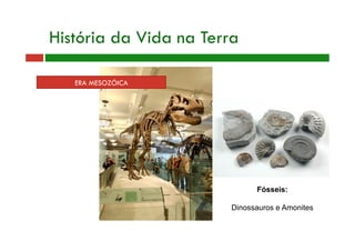 ERA MESOZÓICA
História da Vida na Terra
Fósseis:
Dinossauros e Amonites
 