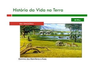 ERA CENOZÓICA
História da Vida na Terra
Domínio dos Mamíferos e Aves
65 M.a.
 