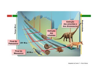 Biodiversidade
Tempo(M.a.)
251 M.a.
65 M.a.
Extinção
das
trilobites
Extinção
das amonites e
dos dinossauros
Final do
Paleozoico
Final do
Mesozoico
Adaptado de Cientic 7 – Porto Editora
 