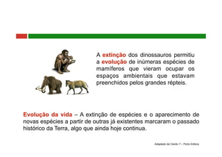 A extinção dos dinossauros permitiu
a evolução de inúmeras espécies de
mamíferos que vieram ocupar os
espaços ambientais que estavam
preenchidos pelos grandes répteis.
Evolução da vida – A extinção de espécies e o aparecimento de
novas espécies a partir de outras já existentes marcaram o passado
histórico da Terra, algo que ainda hoje continua.
Adaptado de Cientic 7 – Porto Editora
 