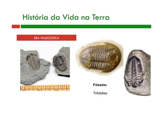 ERA PALEOZÓICA
História da Vida na Terra
Fósseis:
Trilobites
 