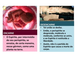 ENCARNE
• O Espírito, por intermédio
do seu perispírito, se
enraíza, de certa maneira,
nesse gérmen, como uma
planta na terra.
DESENCARNE
• Tal união se desfaz.
• Então, o perispírito se
desprende, molécula a
molécula, conforme se unira,
e ao Espírito é restituída a
liberdade.
• Assim, não é a partida do
Espírito que causa a morte do
corpo.
 