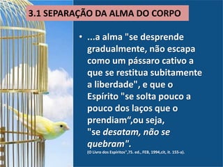 • ...a alma "se desprende
gradualmente, não escapa
como um pássaro cativo a
que se restitua subitamente
a liberdade", e que o
Espírito "se solta pouco a
pouco dos laços que o
prendiam“,ou seja,
"se desatam, não se
quebram".
(O Livro dos Espíritos",75. ed., FEB, 1994,cit, it. 155-a).
3.1 SEPARAÇÃO DA ALMA DO CORPO
 
