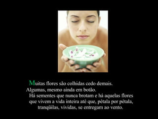 Muitas flores são colhidas cedo demais.
Algumas, mesmo ainda em botão.
 Há sementes que nunca brotam e há aquelas flores
 que vivem a vida inteira até que, pétala por pétala,
     tranqüilas, vividas, se entregam ao vento.
 