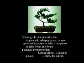 Mas a gente não sabe adivinhar.
    A gente não sabe por quanto tempo
 estará enfeitando esse Éden e tampouco
    aquelas flores que foram
plantadas ao nosso redor.
               E descuidamos. Cuidamos
    pouco.          De nós, dos outros.
 
