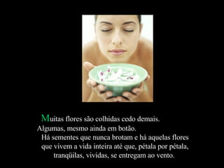 M uitas flores são colhidas cedo demais.  Algumas, mesmo ainda em botão.  Há sementes que nunca brotam e há aquelas flores que vivem a vida inteira até que, pétala por pétala, tranqüilas, vividas, se entregam ao vento.  