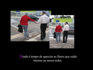 A inda é tempo de apreciar as flores que estão inteiras ao nosso redor.  