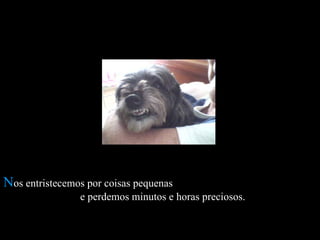 N os entristecemos por coisas pequenas  e perdemos minutos e horas preciosos.  