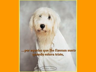 … por aquelas  que  lhe  fizeram  sorrir quando estava triste, 