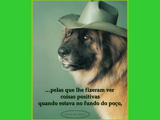 … pelas   que lhe fizeram ver  coisas positivas quando estava no fundo do poço, 