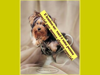 E lembre-se:  você é uma pessoa  especial que merece alguém especial.  