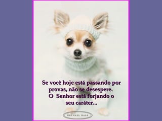 Se você hoje está passando por provas, não se desespere.  O  Senhor está forjando o seu caráter... 