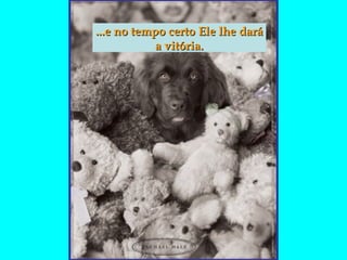 ...e no tempo certo Ele lhe dará a vitória. 