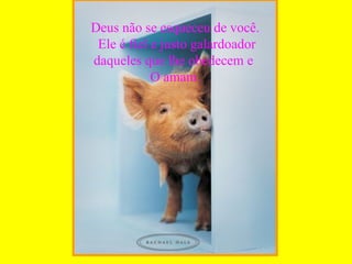 Deus não se esqueceu de você. Ele é fiel e justo galardoador daqueles que lhe obedecem e  O amam. 