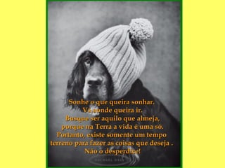 Sonhe o que queira sonhar.  Vá aonde queira ir. Busque ser aquilo que almeja, porque na Terra a vida é uma só. Portanto, existe somente um tempo  terreno para fazer as coisas que deseja .  Não o desperdice! 