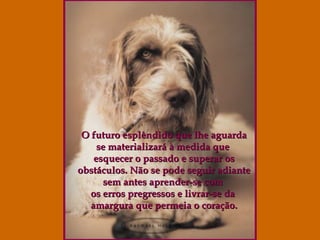 O futuro esplêndido que lhe aguarda se materializará à medida que  esquecer o passado e superar os obstáculos. Não se pode seguir adiante  sem antes aprender-se com  os erros pregressos e livrar-se da  amargura que permeia o coração. 