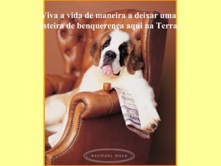 Viva a vida de maneira a deixar uma  esteira de benquerença aqui na Terra. 