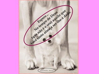 Espere... No tempo de Deus (que não é o seu) aquilo que você tanto almeja ser-lhe-á dado . 