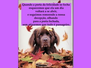 Quando a porta da felicidade se fecha  esquecemos que ela um dia voltará a se abrir, e seguimos remoendo a nossa decepção, olhando  para a porta fechada, sem atinarmos que tudo é passageiro. 