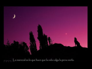 Lo esencial es lo que hace que la vida valga la pena vivirla.
 